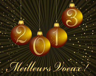 Bonne année à tous nos lecteurs !