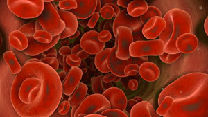 Prévention des accidents d’exposition au sang: initiative européenne